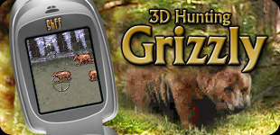 3D Hunting: Grizzly Graphic